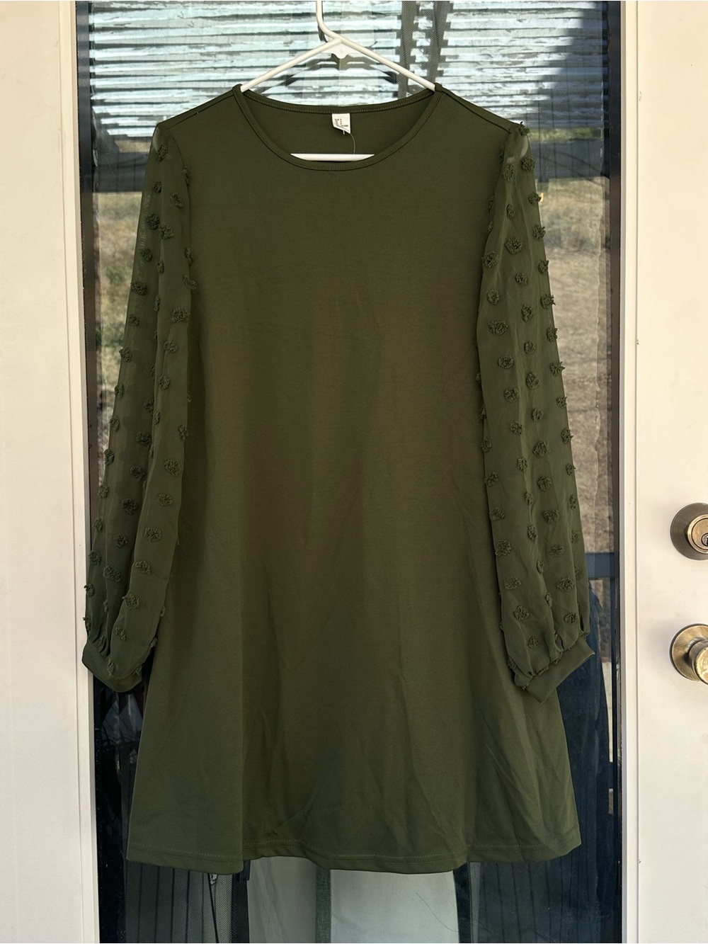Olive Green Swiss Dot Mesh Mini Dress